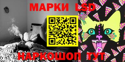 крисы Ставрополь